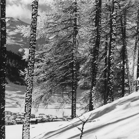 Hotel Hotel Livigno Livigno